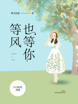等风也等你短剧