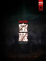 宝藏(谜小说系列)
