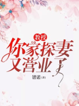 教授你老婆热搜又爆了更新