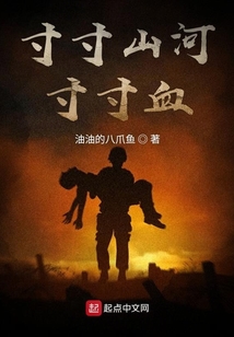 寸寸山河寸寸血小说 免费