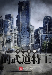 谍战剧中的武道特工 小说