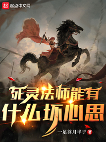 死灵法师能有什么坏心思 小说 免费