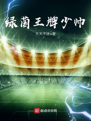 绿茵王牌少帅 小说