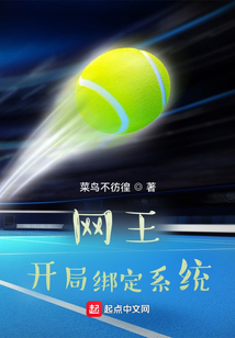 网王:开局绑定领袖系统!