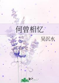 何曾相忆烽火路好看吗