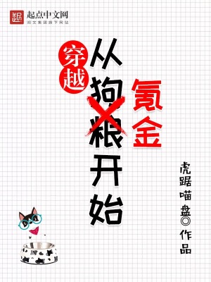 穿越氪金玩家小说