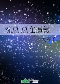 沈总 总在氪