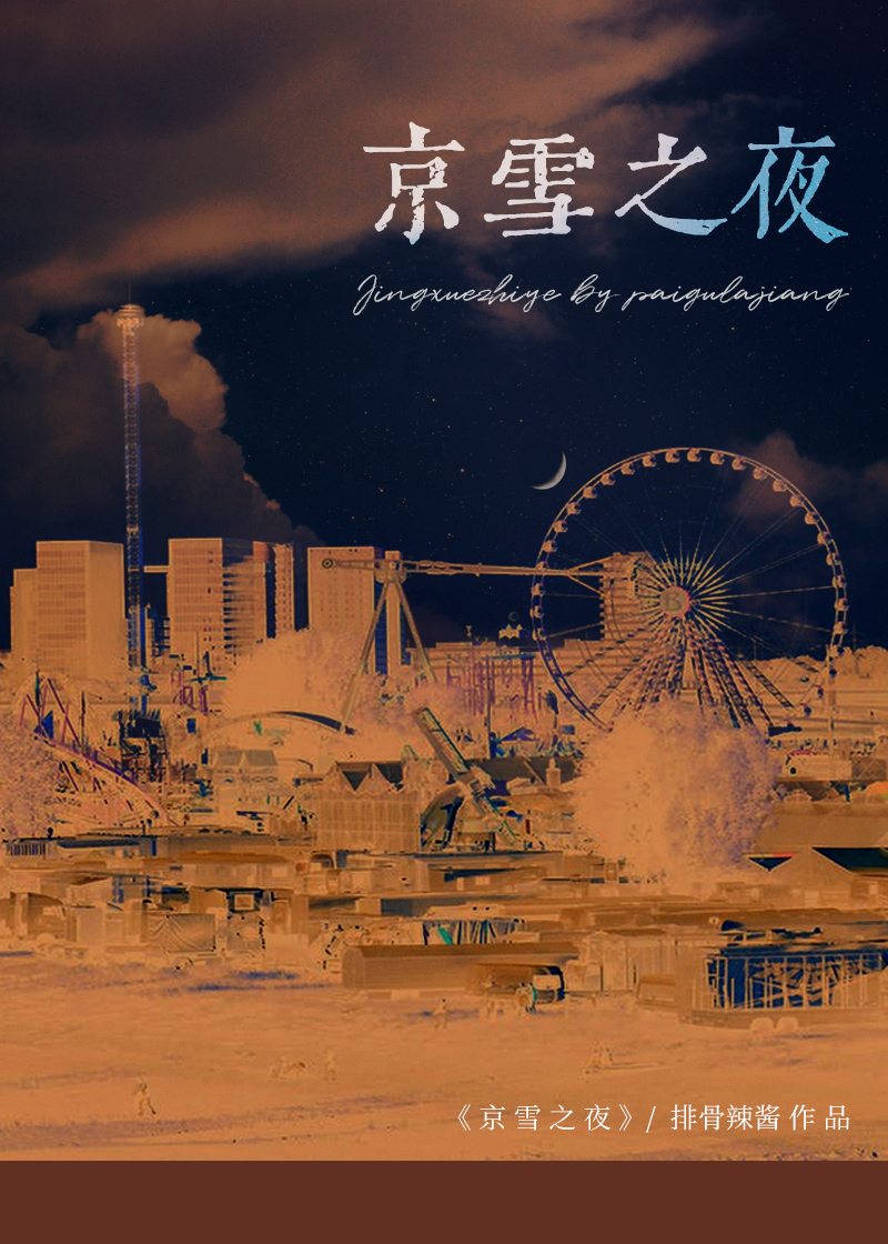 京雪之夜小说排骨辣酱免费