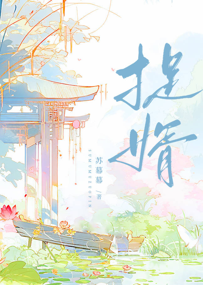 捉婿小说全文免费阅读