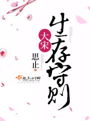 大宋生存守则小说