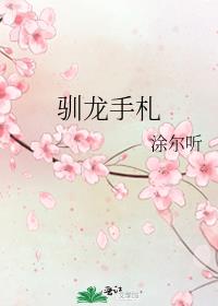 驯龙手札TXT下载