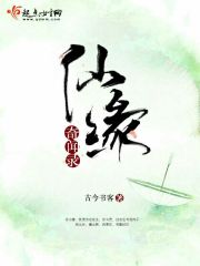 仙履奇缘2