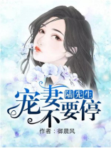 陆先生,宠妻无度小说