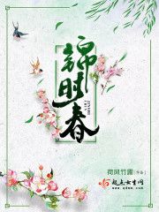 锦时春茶叶