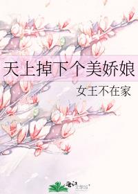 天上掉下个美娇娘女王不在家笔趣阁