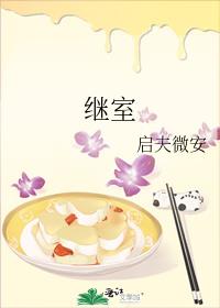 继室小说