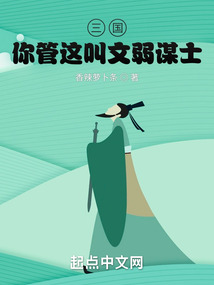 三国你管这叫文弱谋士小说