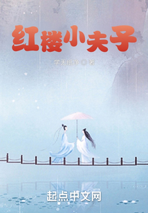 红楼小夫子快眼看书