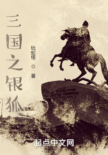 三国之银狐笔趣