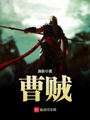 曹贼是什么意思
