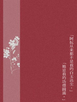 皎月入我怀TXT下载