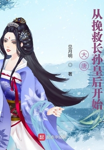 大唐从挽救长孙皇后开始飞卢