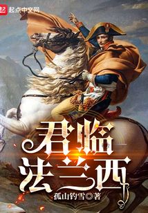 君临法兰西小说