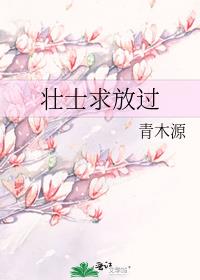 壮士求放过讲的什么