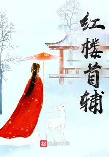 红楼首辅宠妻日常下载