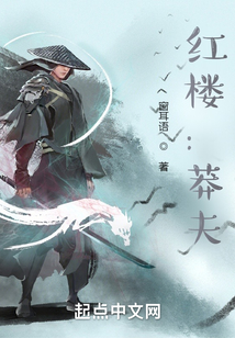 红楼:莽夫 小说