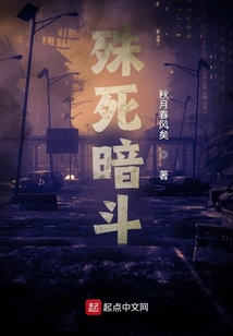 殊死暗斗小说TXT下载