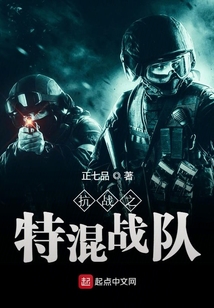 抗战之特混战队 小说