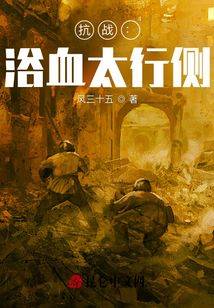抗战浴血太行侧TXT下载