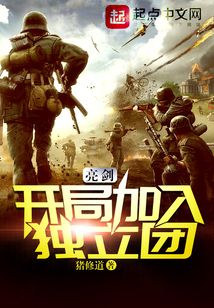亮剑:开局加入独立团队