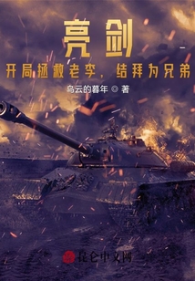 穿越亮剑开局拯救老李的小说
