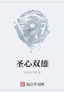 圣心双雄小说