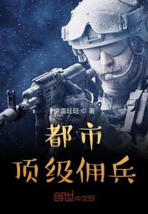 都市顶级佣兵 小说