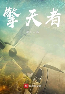 擎天柱小说