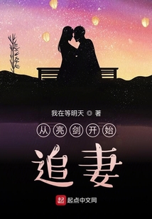 从亮剑开始打