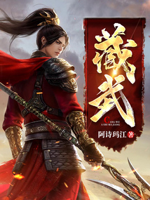藏武折相思破解版