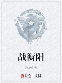 战衡阳是谁打的