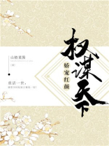 权谋天下娇宠红颜TXT下载