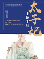 太子妃上位手册小说