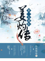 第一女国医:姜灼传 小说
