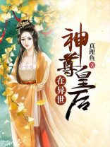 异世皇妃小说