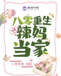 八零重生之辣妈当家