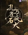 孔雀石sdr